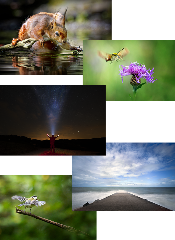 Semaine photo estivale dans la Somme